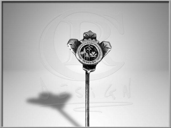 school badge