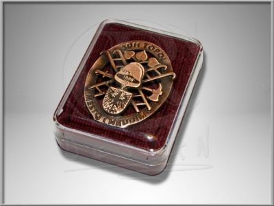 Badge SDH Topol Chrudim